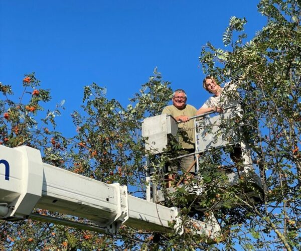 IMG_5336